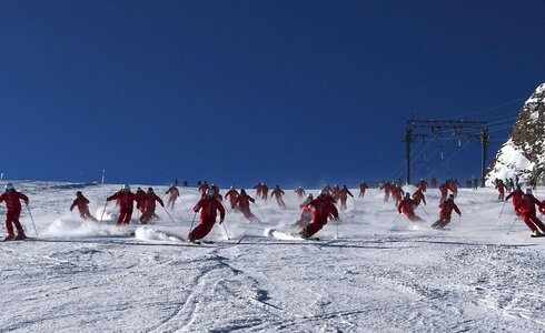 Große Gruppe von Skilehrern bei der Abfahrt